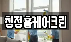 청정홈케어크린