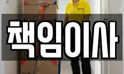책임이사