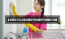 출장에바크리닝자동차에어컨청소에어컨냄새히터냄새