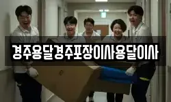 경주용달경주포장이사용달이사