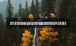 경주포장이사용달용달이사원룸이사이사짐익스프레스