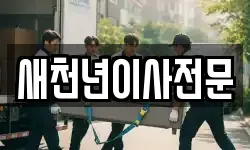 새천년이사전문
