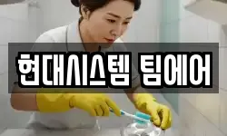현대시스템 팀에어