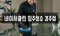 네이처클린 입주청소 경주점