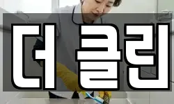 더 클린