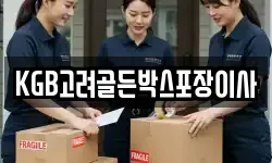 KGB고려골든박스포장이사