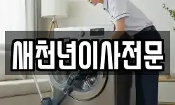 새천년이사전문
