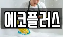에코플러스