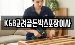 KGB고려골든박스포장이사