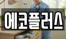 에코플러스
