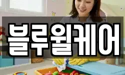 블루윌케어