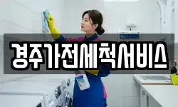 경주가전세척서비스