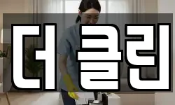 더 클린