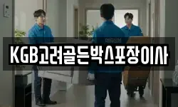 경북 경주시 서면 이사,용달이사,포장이사,원룸이사,보관이사