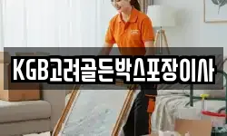 경북 경주시 서부동 이사,용달이사,포장이사,원룸이사,보관이사