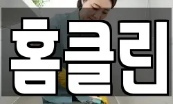 홈클린