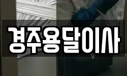 경주용달이사