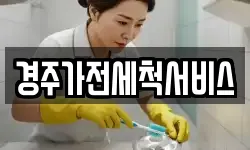 경주가전세척서비스