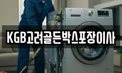 KGB고려골든박스포장이사