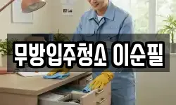 무방입주청소 이순필