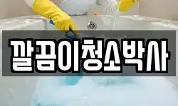 깔끔이청소박사