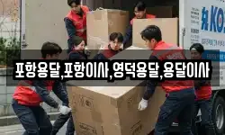 포항용달,포항이사,영덕용달,용달이사