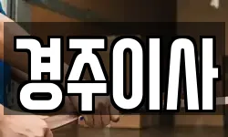 경주이사