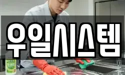 우일시스템
