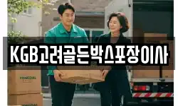 KGB고려골든박스포장이사