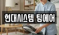 현대시스템 팀에어