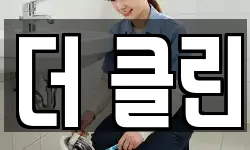 더 클린