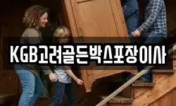 KGB고려골든박스포장이사