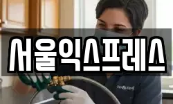 서울익스프레스