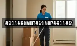 용달이사원룸이사대구용달이사대구원룸이사용달