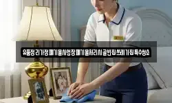 경북 고령군 덕곡면 청소,입주청소,사무실청소,에어컨청소