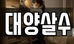 대양살수