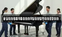 용달이사원룸투룸이사사무실이사일반이사포장이사