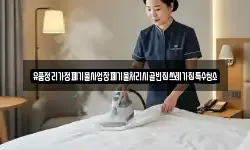 경북 고령군 성산면 청소,입주청소,사무실청소,에어컨청소