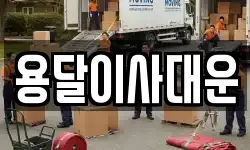 용달이사대운