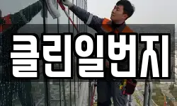 클린일번지