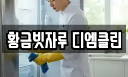황금빗자루 디엠클린