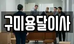 구미용달이사
