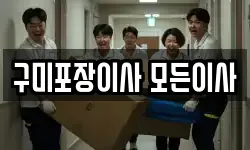 구미포장이사 모든이사