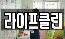 라이프클린