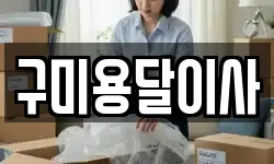 구미용달이사