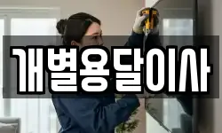 개별용달이사