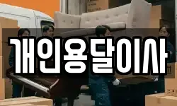 개인용달이사