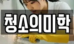 청소의미학
