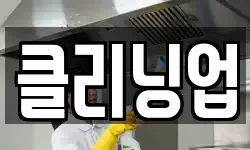 클리닝업