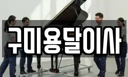 구미용달이사